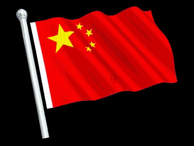 口袋森林世界杯防守战
